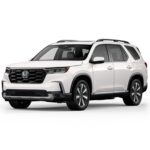 PILOT EXL 25YM  2025