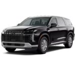 Palaside 3.8 4X4 Callighraphy Black Edition 2025⁩⁩⁩