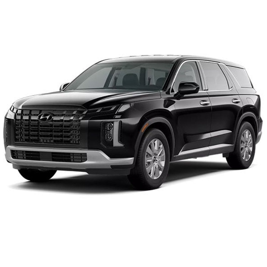 1000119645.jpg Palaside 3.5 4X2 Comfort 2025 - الصورة 1